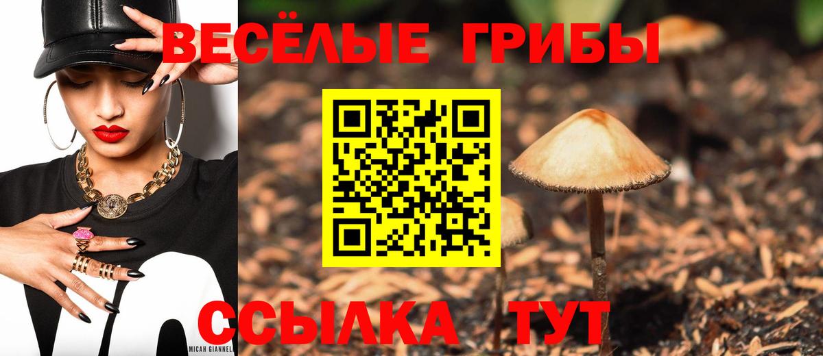 Камень-на-Оби  Галлюциногенные грибы Psilocybine cubensis  Вход с VPN  Галлюциногенные грибы GOLDEN TEACHER 